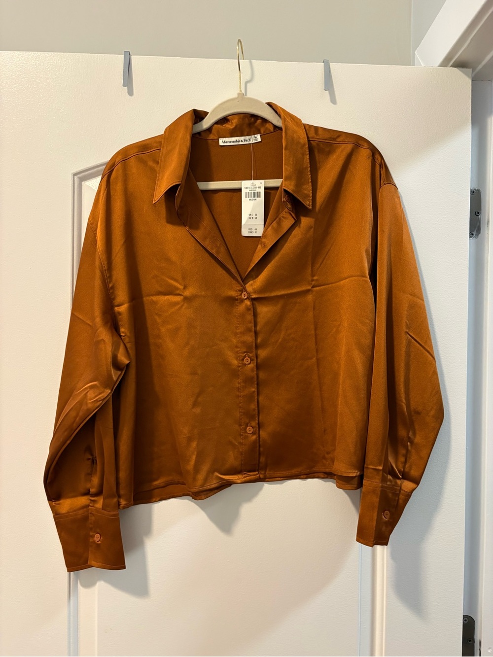 Abercrombie & Fitch Satin Button-Down Shirt - Rust